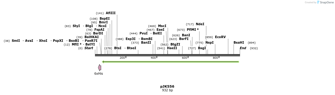 141191_map