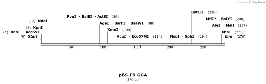 14120_map