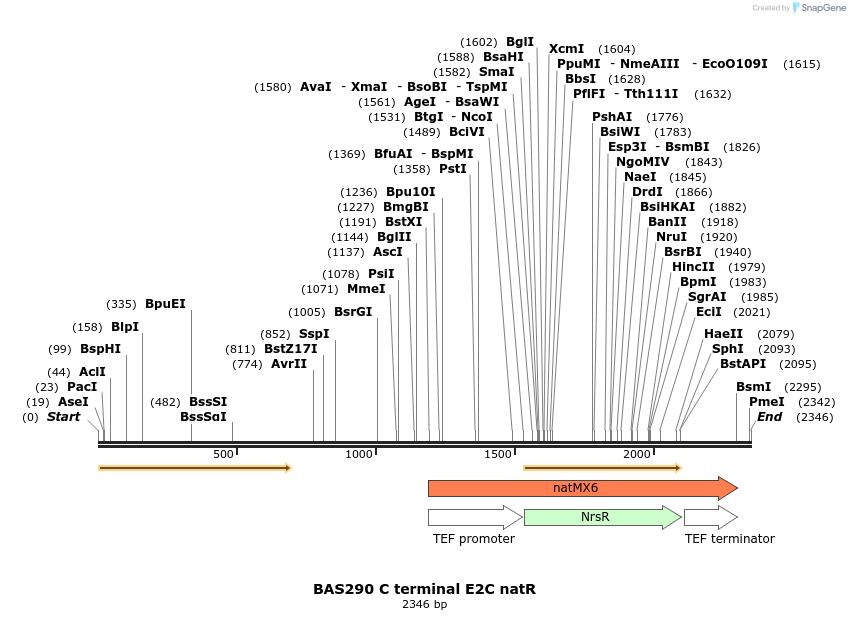 141200_map