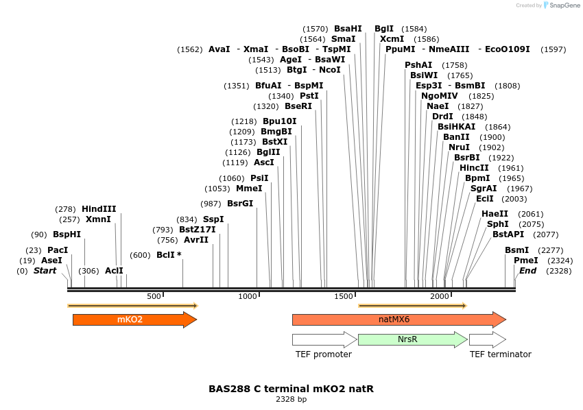 141202_map