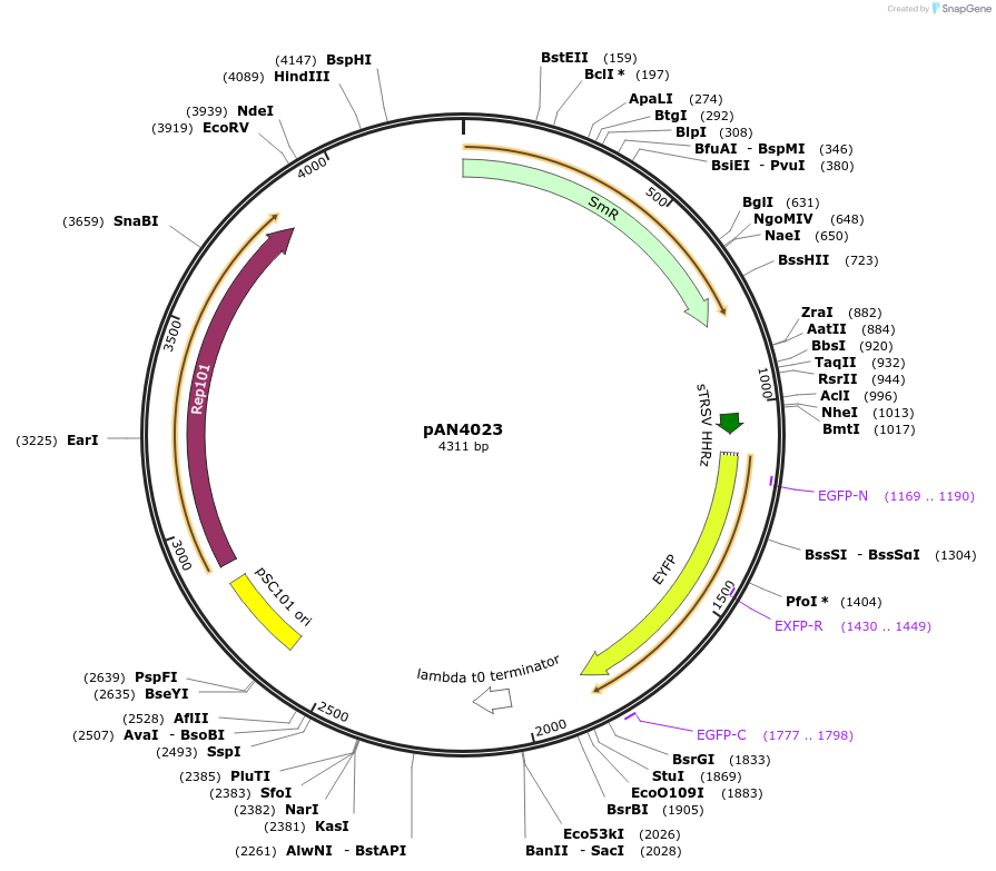 141205_map