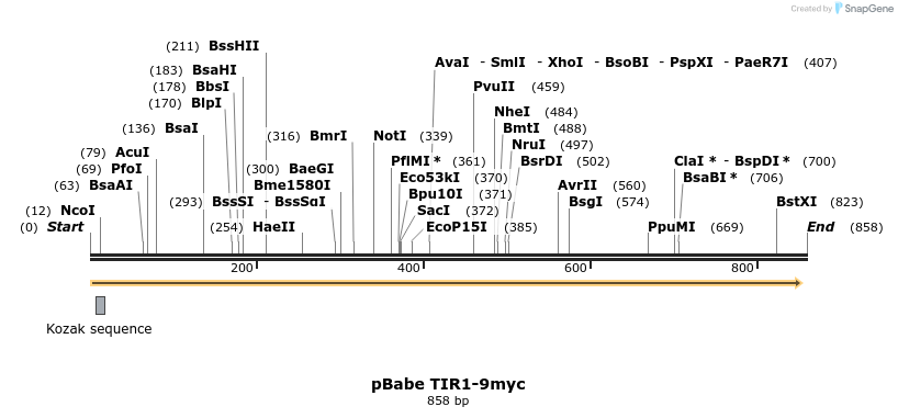 141207_map