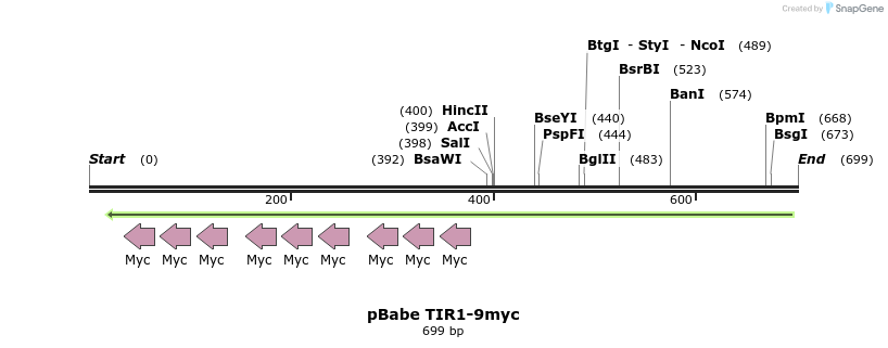 141208_map