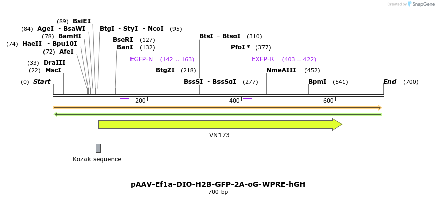 141209_map