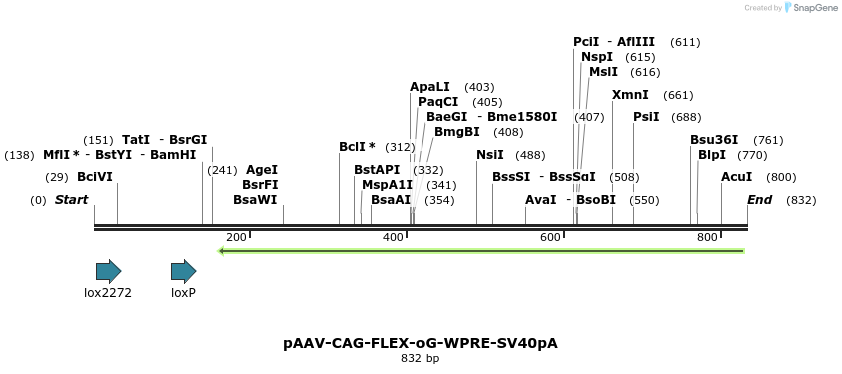 141212_map