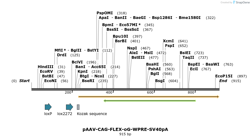 141213_map