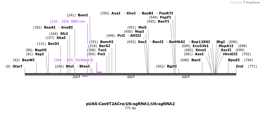 141214_map