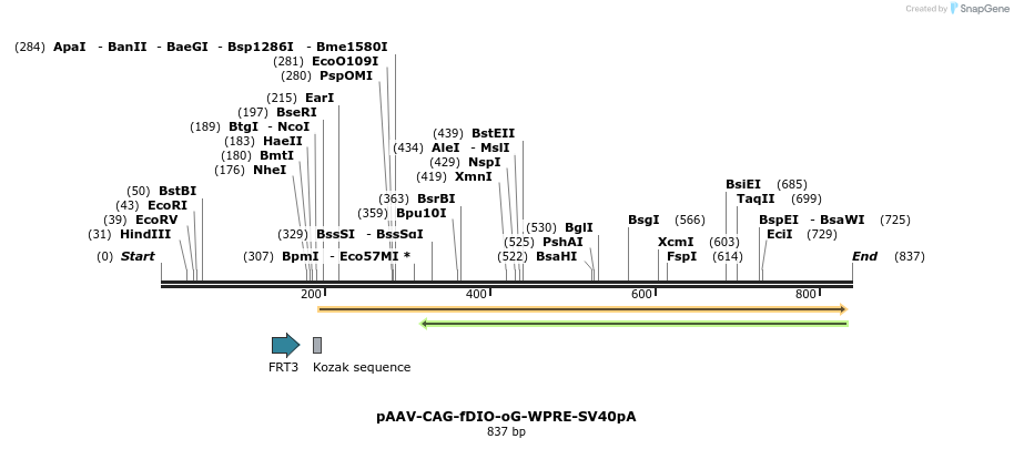 141217_map