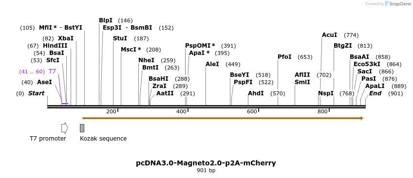 141219_map