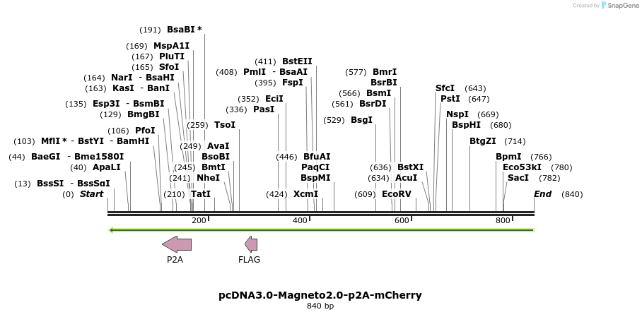141221_map