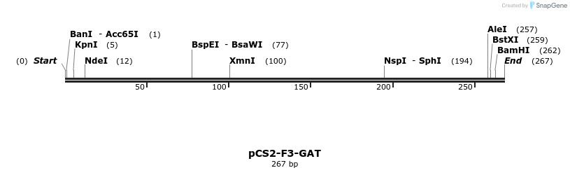 14123_map