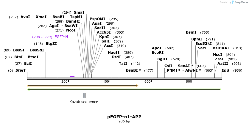 141232_map