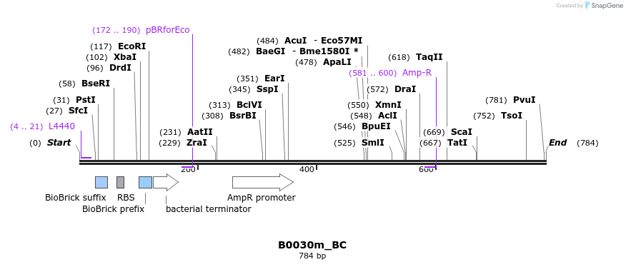 141245_map