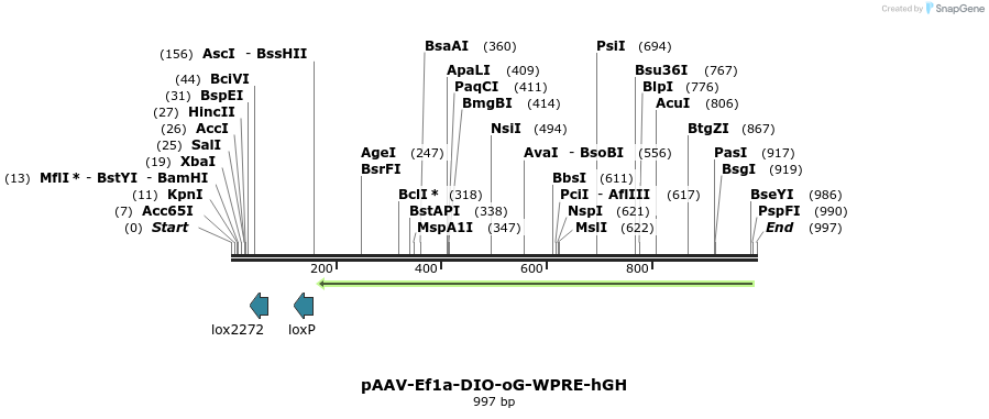 141250_map