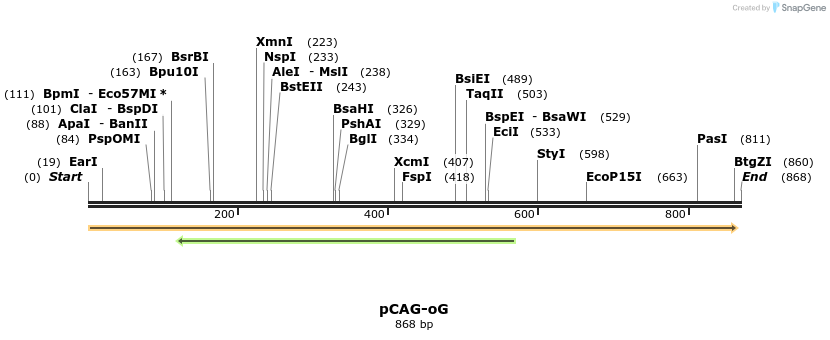 141254_map