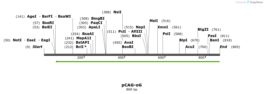 141256_map