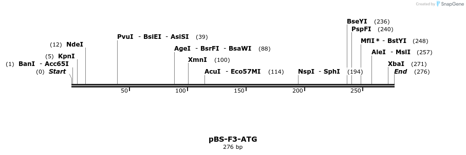 14126_map