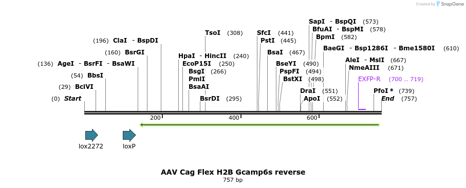 141260_map