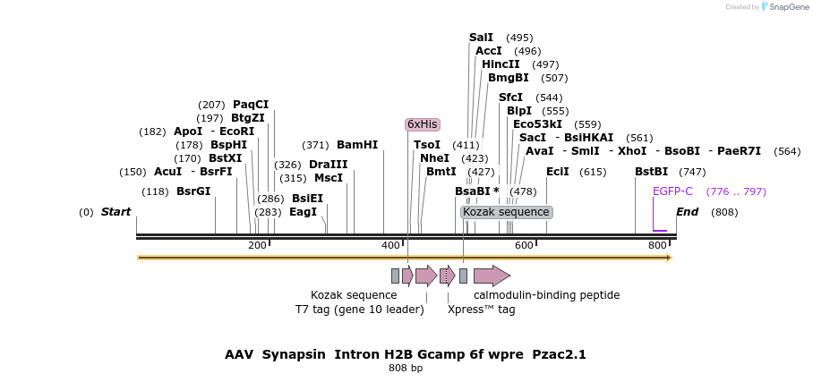 141263_map