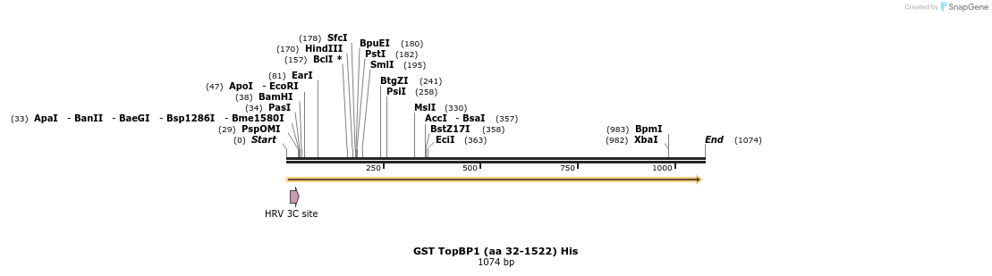 141264_map
