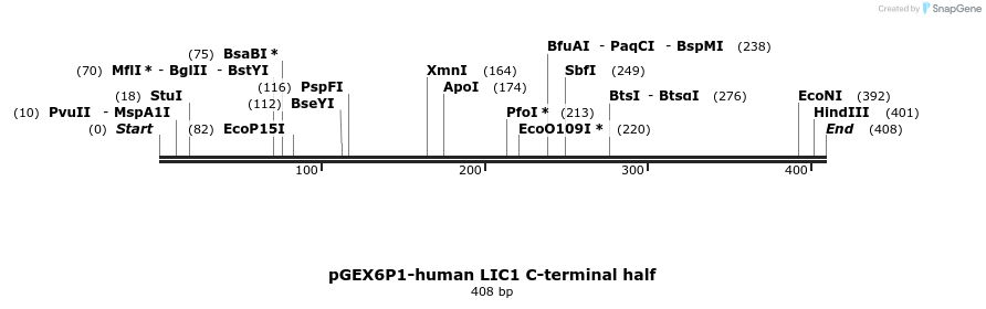 141266_map