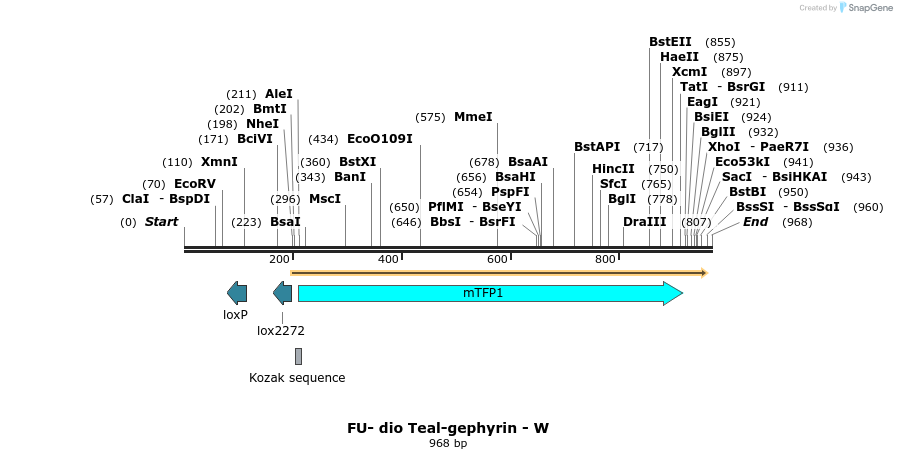 141275_map
