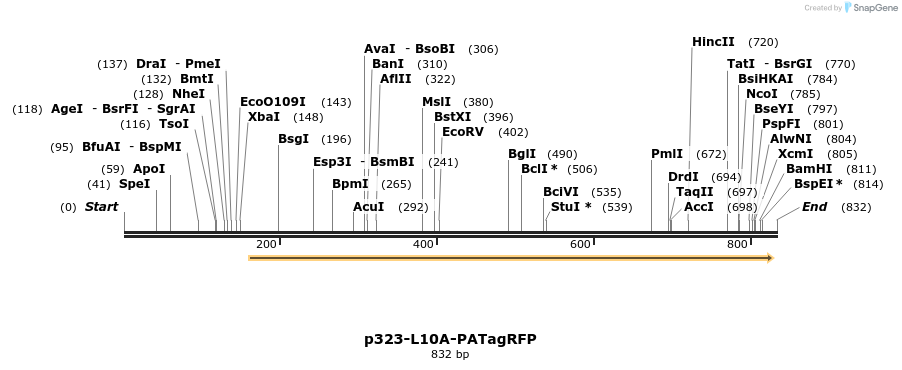 141280_map