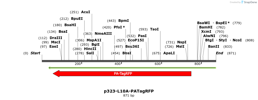 141281_map