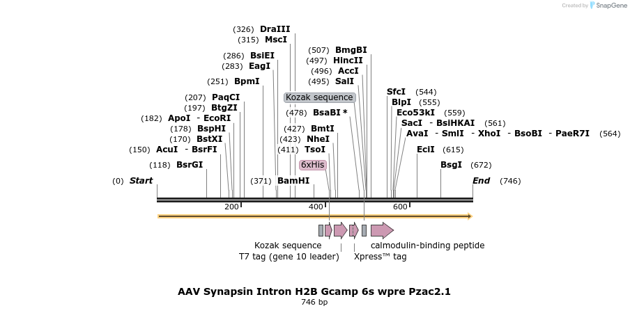 141282_map