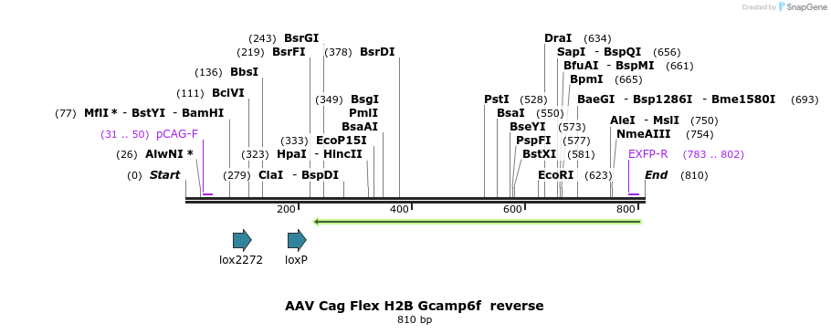 141283_map