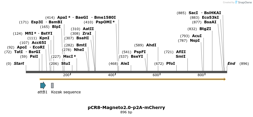 141285_map