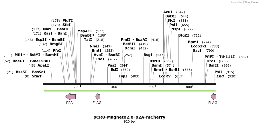 141286_map