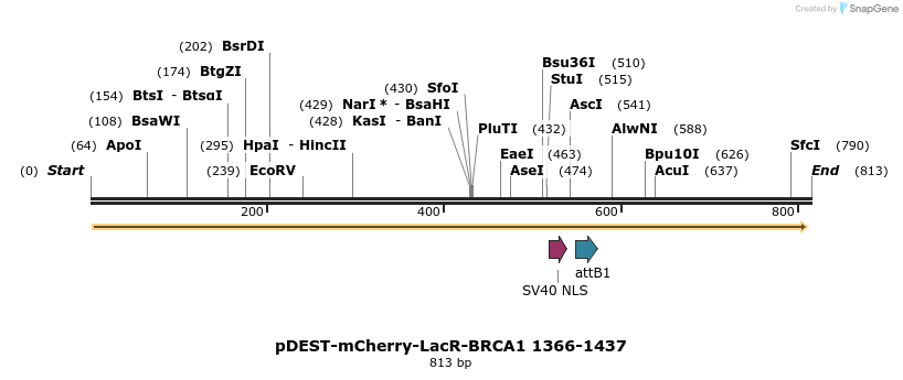 141287_map