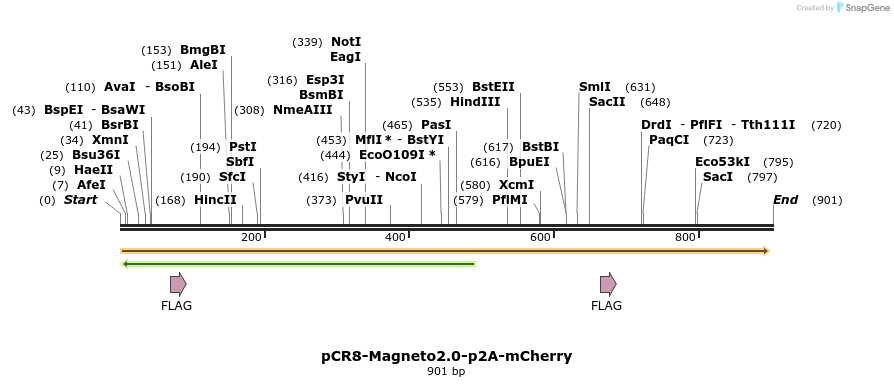 141288_map