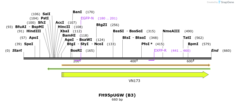 141291_map
