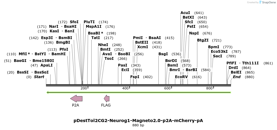 141292_map