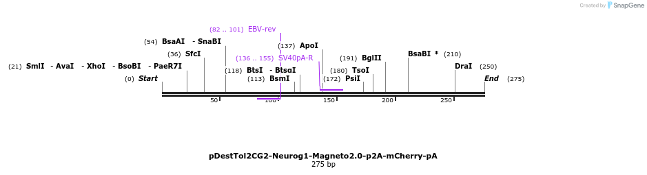 141293_map