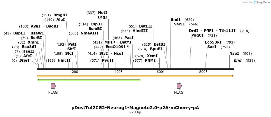 141296_map