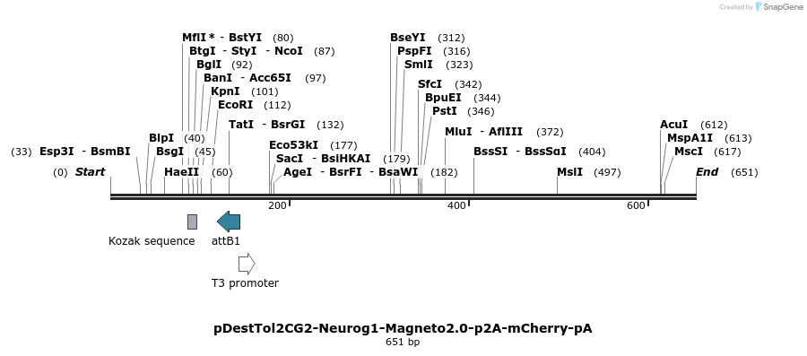 141297_map