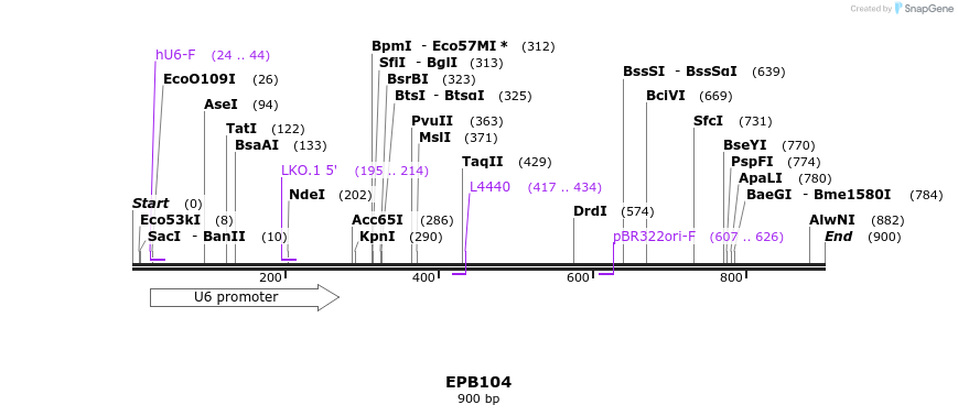 141298_map