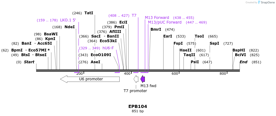 141299_map