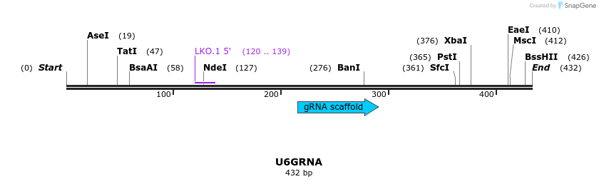 141300_map