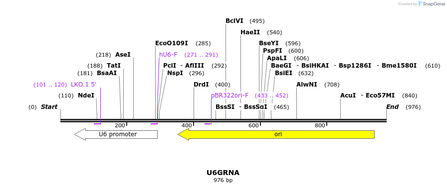 141302_map