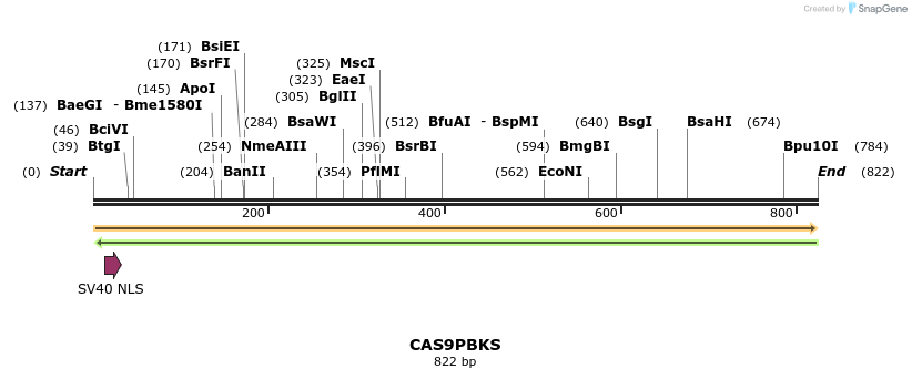 141303_map