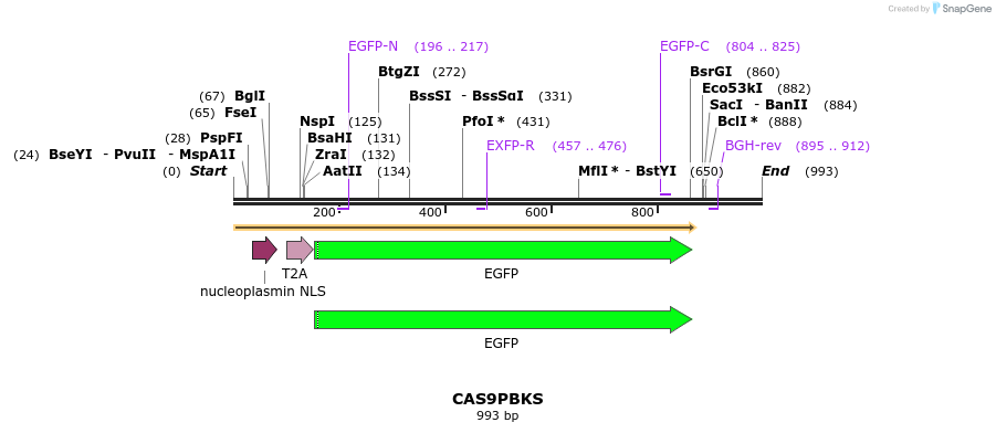 141304_map