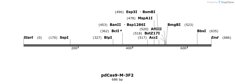 141305_map