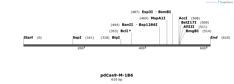 141307_map