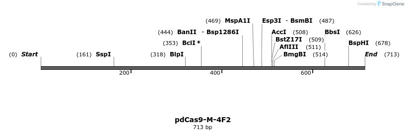 141308_map