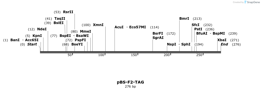 14131_map