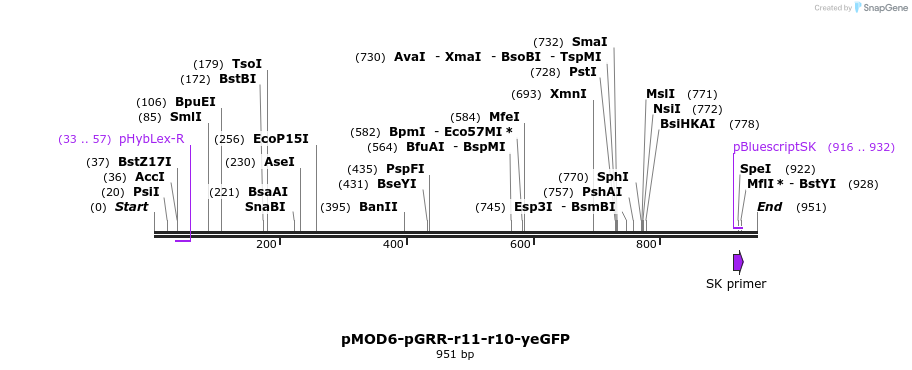 141315_map